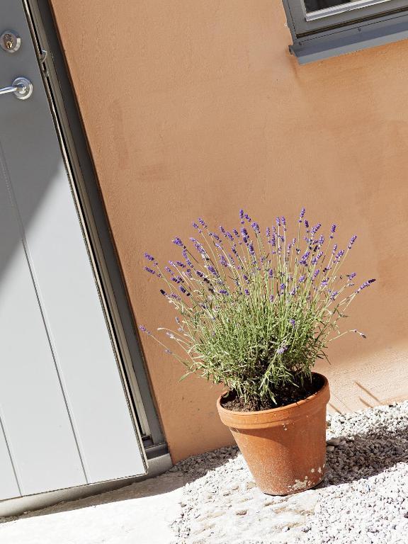 Visby Logi & Vandrarhem St: Hansgatan ห้อง รูปภาพ